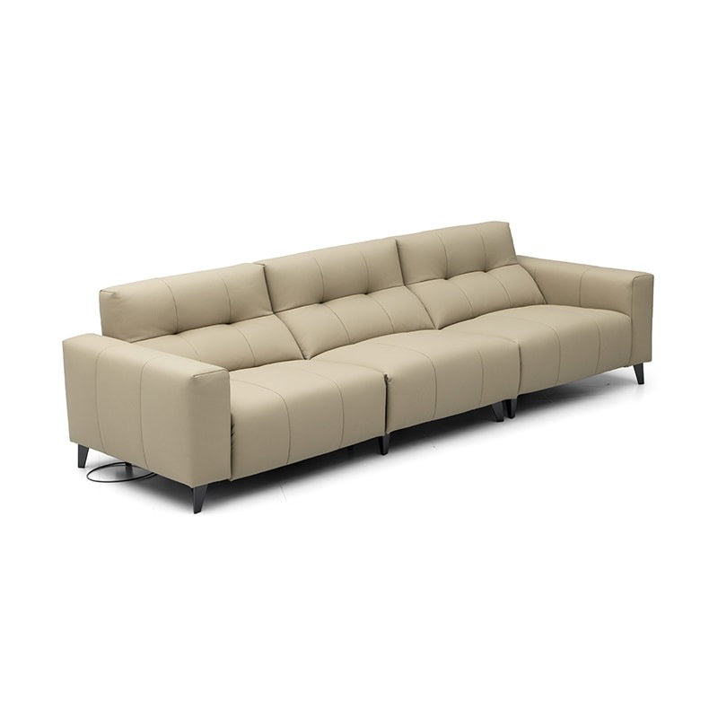 An electric functional sofa