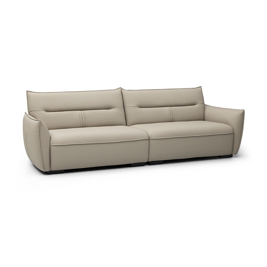 A minimalist leather sofa with a very good price