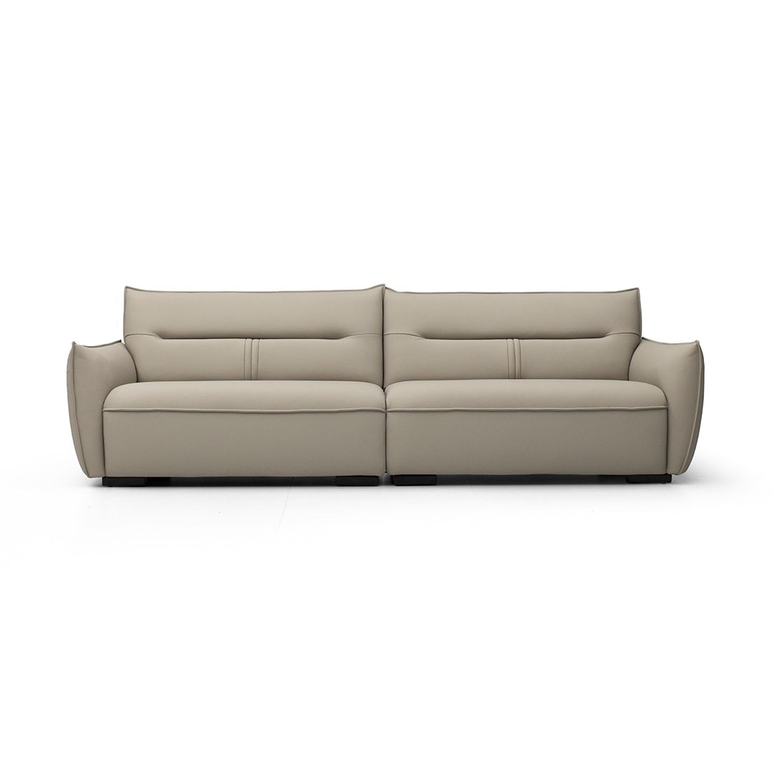 A minimalist leather sofa with a very good price
