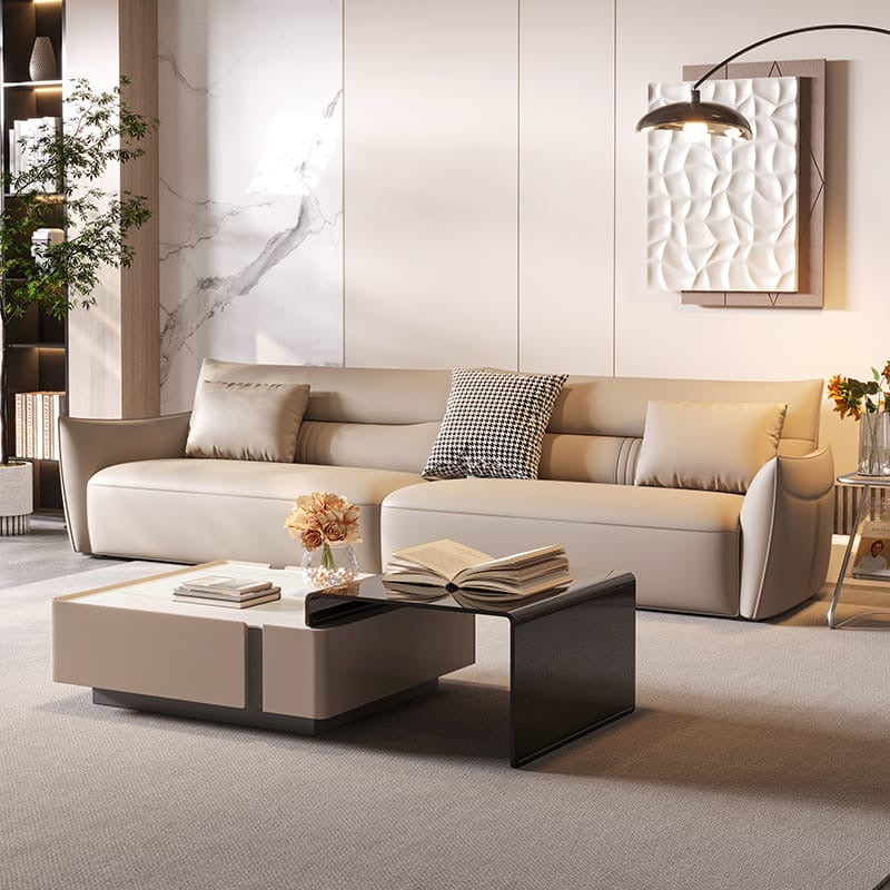 A minimalist leather sofa with a very good price