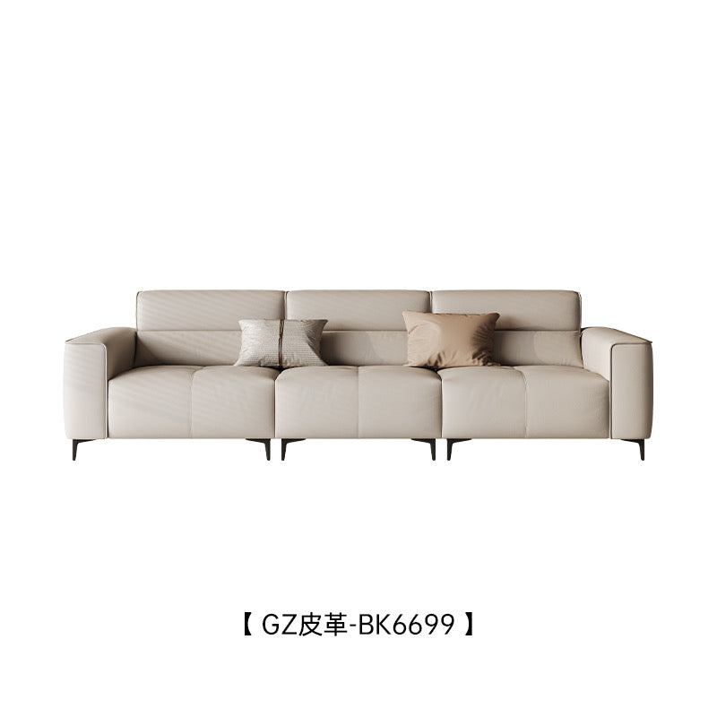 An electric functional sofa