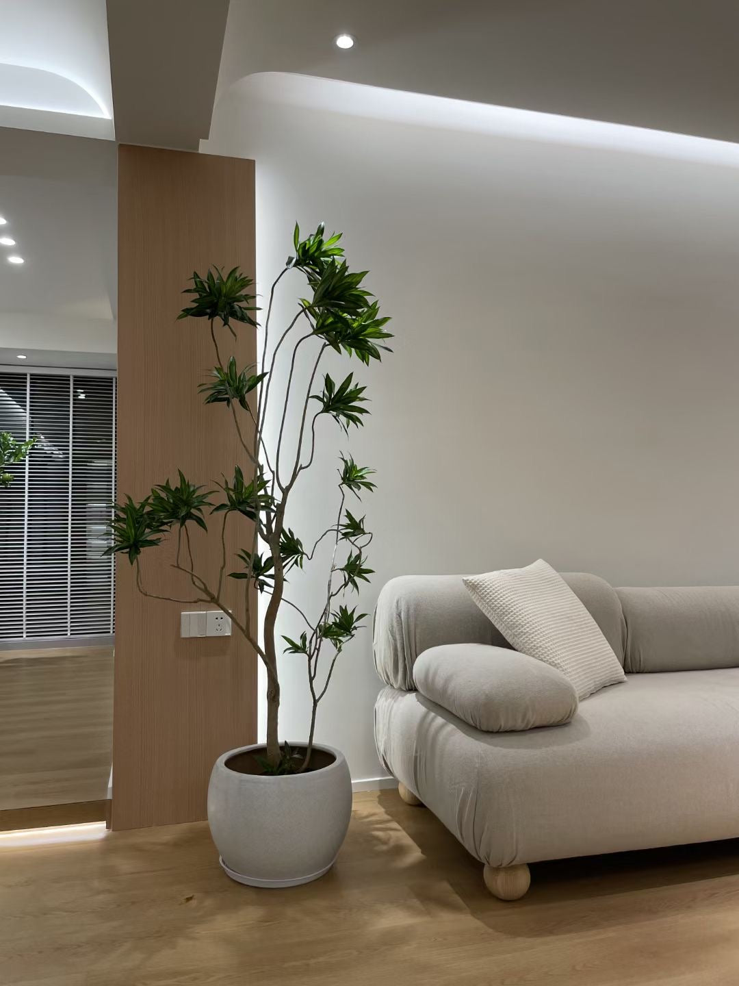 【Video 】A sofa that feels comfortable and bouncy